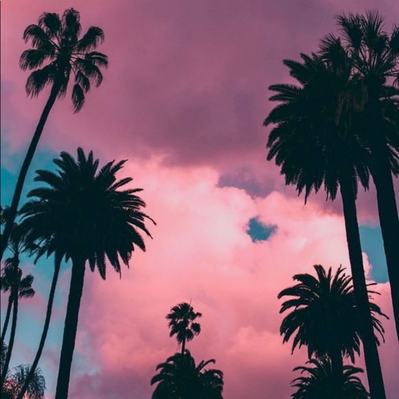 Meet your Posher, Jasmine - Picture 1 of 1